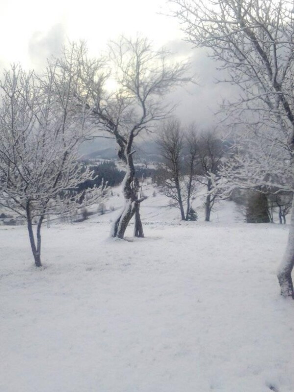 Шостий місяць зими: в Україні 8 травня випало до 20 см снігу (ФОТО)