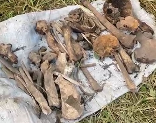 Розкриття злочину 17-річної давності: на Тернопільщині знайти рештки хлопця, якого на смітнику закопали друзі (ВІДЕО)