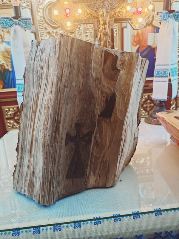 Нерукотворне диво: на Тернопільщині у стовбурі дерева знайшли зображення хреста (ФОТО, ВІДЕО)